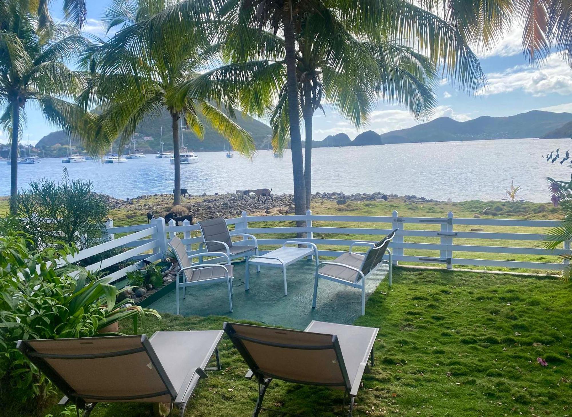 Bungalow Anolis Face A La Mer A 2 Min De La Plage. テール・ド・オー エクステリア 写真